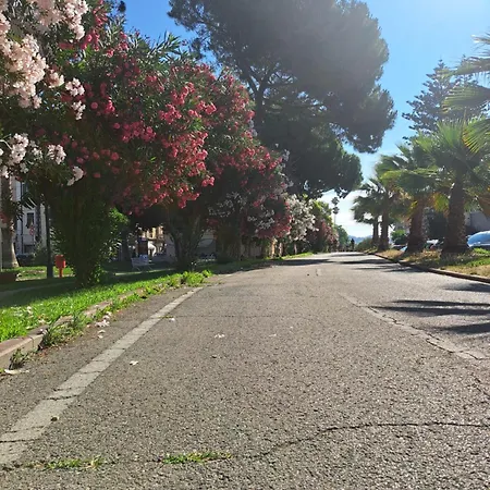 La Morena *